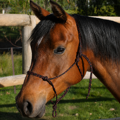 Nungar Knot Yachting Headstall 6mm
