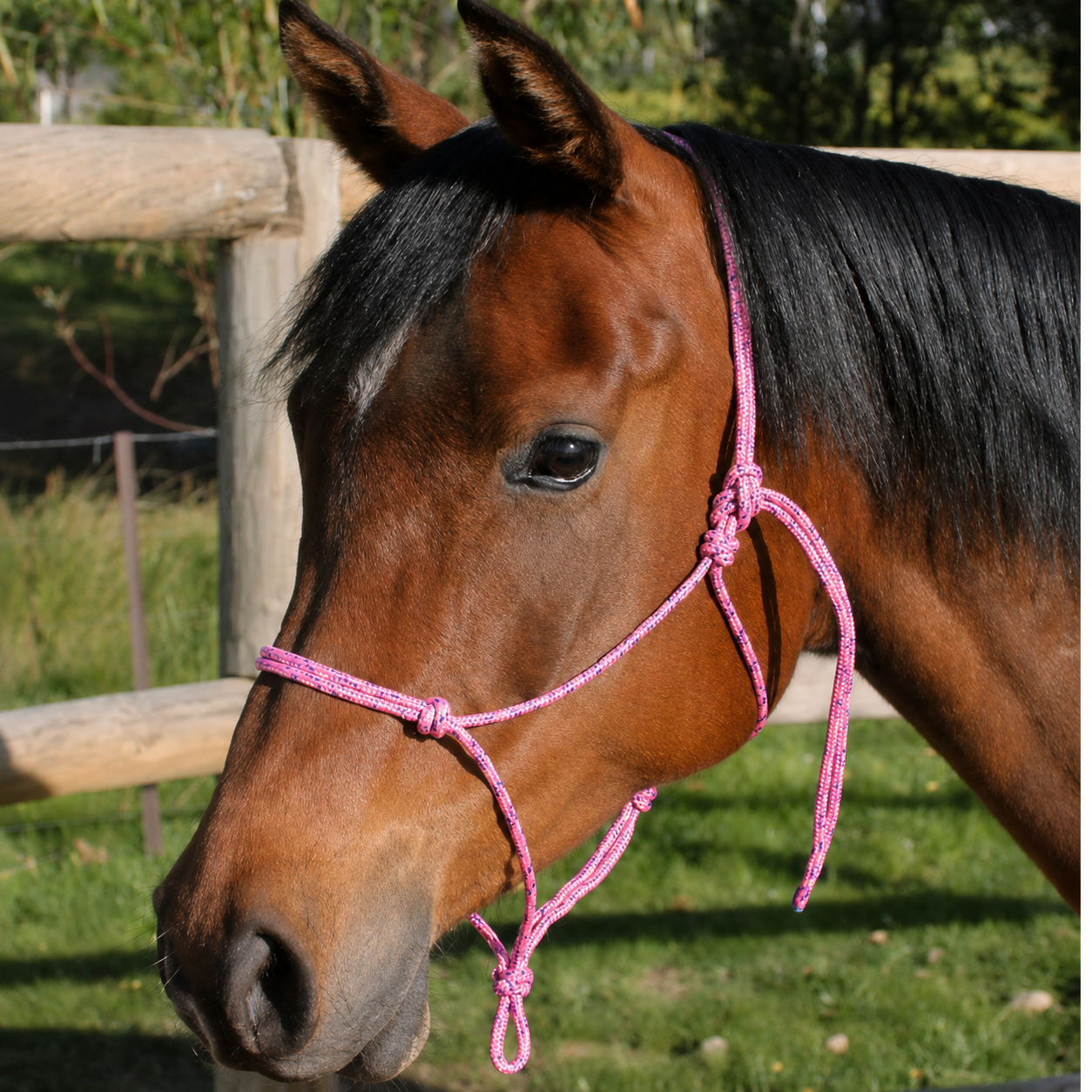 Nungar Knot Yachting Headstall 6mm