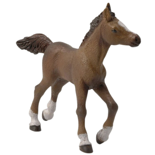 Papo Anglo-Arab Foal - EQ Saddlery