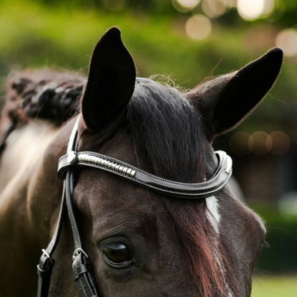 Lumiere Perseus Convertible Bridle
