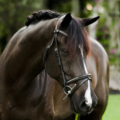 Lumiere Perseus Convertible Bridle