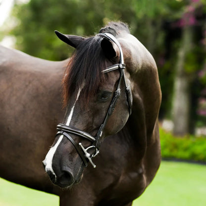 Lumiere Perseus Convertible Bridle