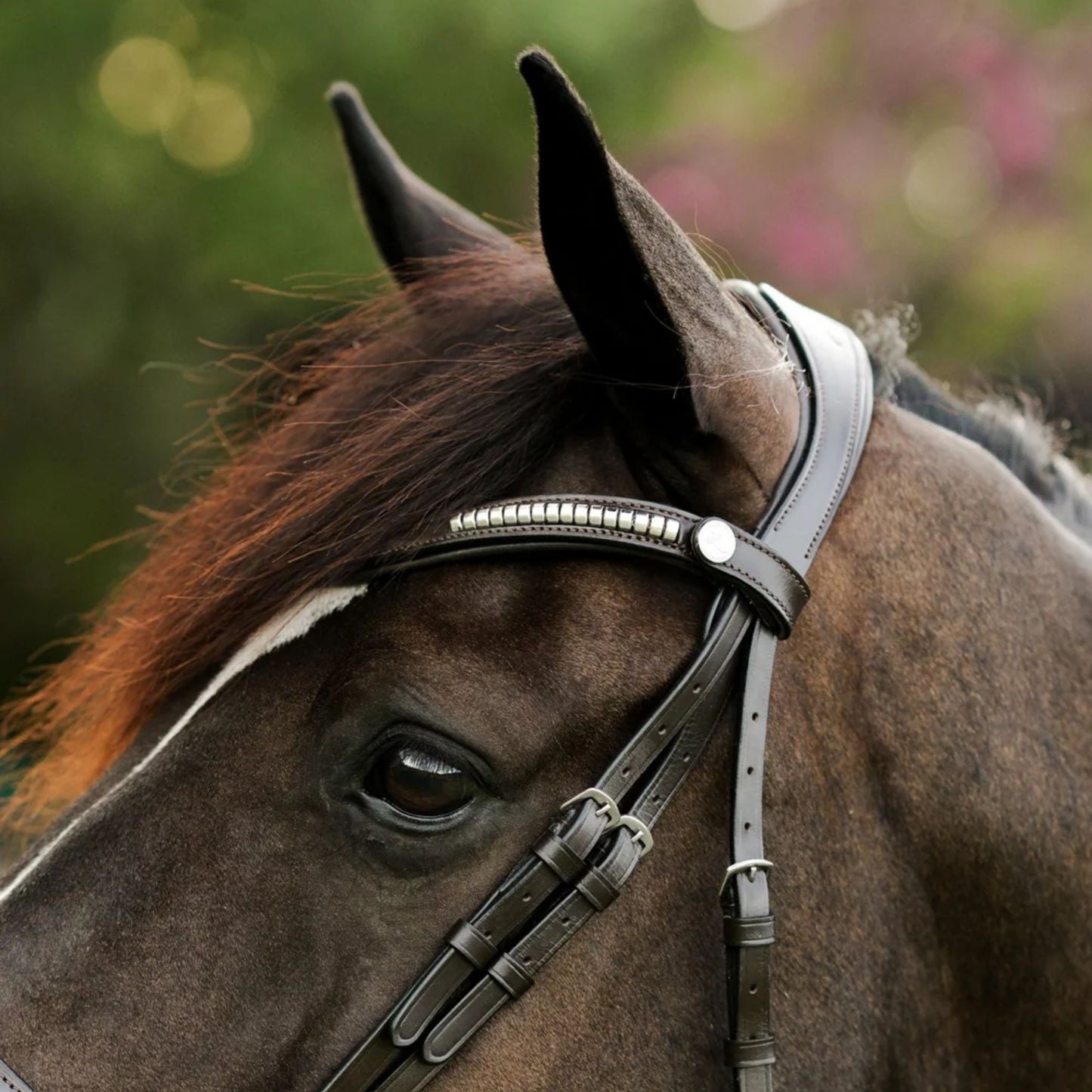 Lumiere Perseus Convertible Bridle