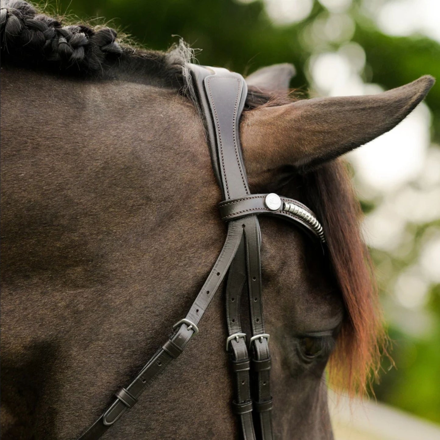 Lumiere Perseus Convertible Bridle