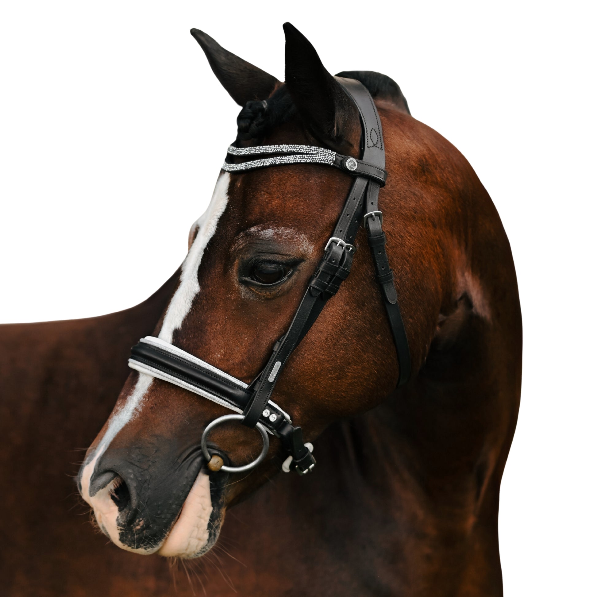 Lumi Pony Princess Bridle - EQ Saddlery