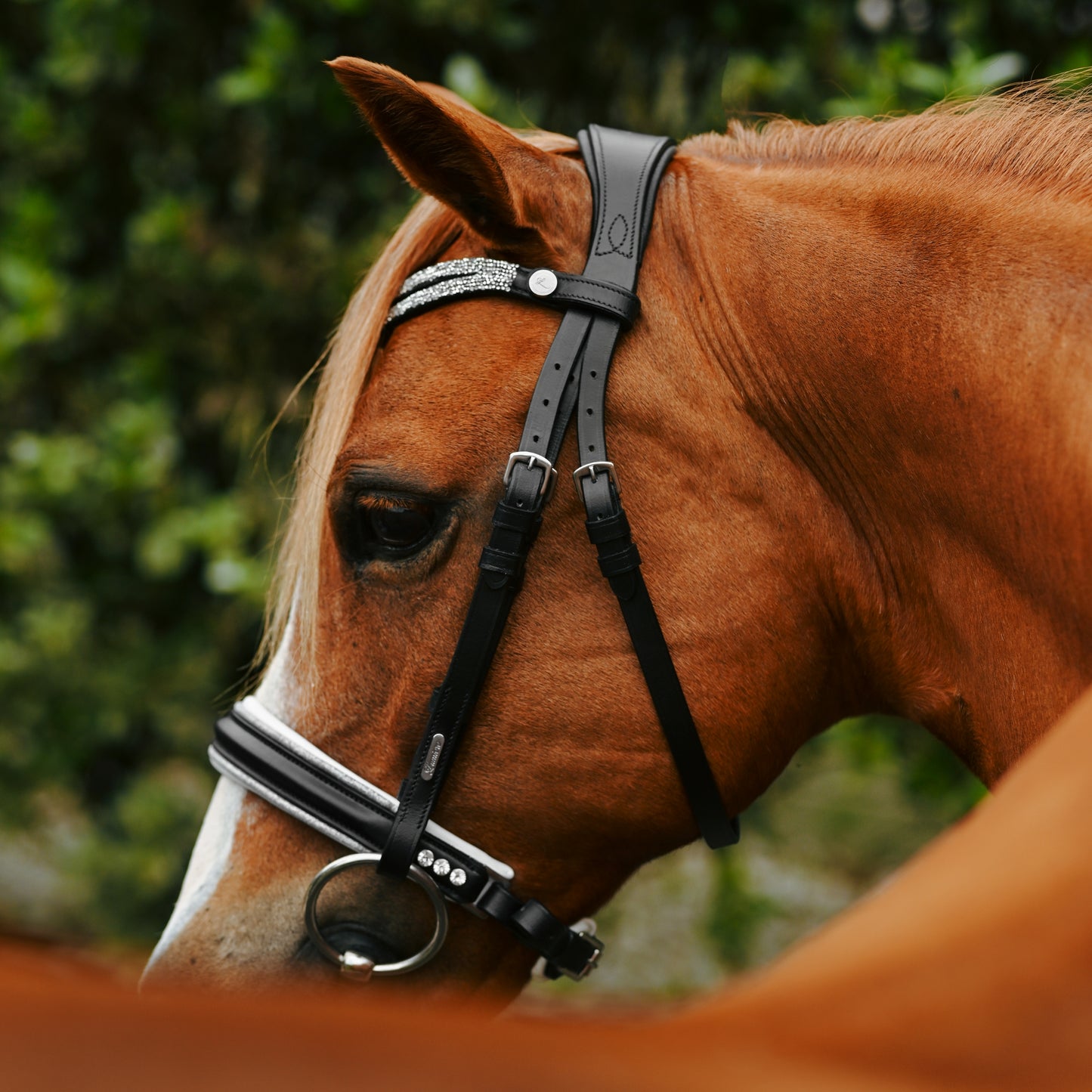 Lumi Pony Princess Bridle - EQ Saddlery
