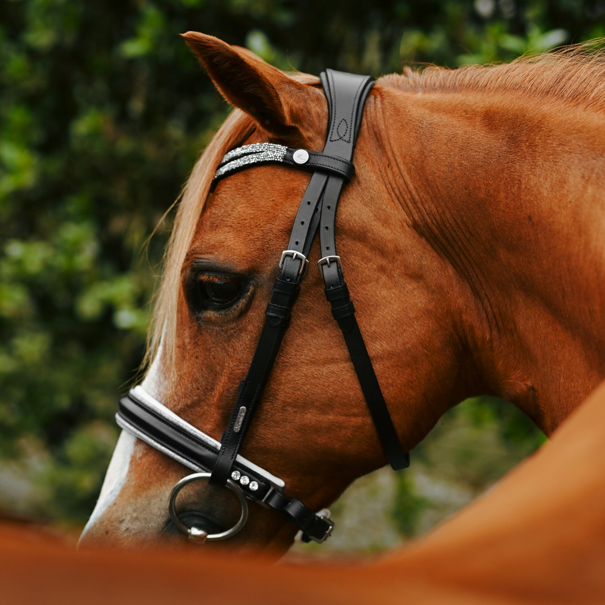 Lumi Pony Princess Bridle - EQ Saddlery