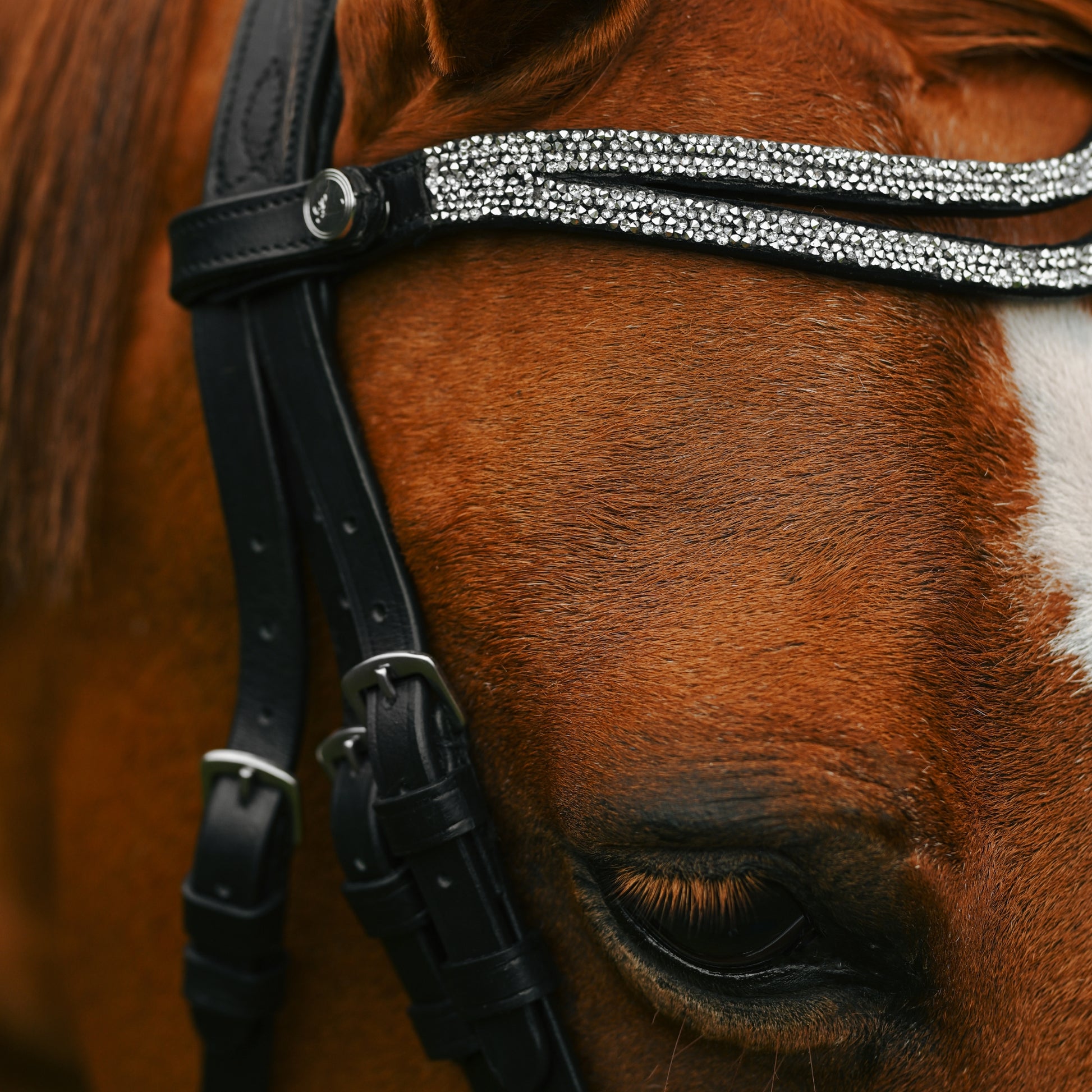 Lumi Pony Princess Bridle - EQ Saddlery