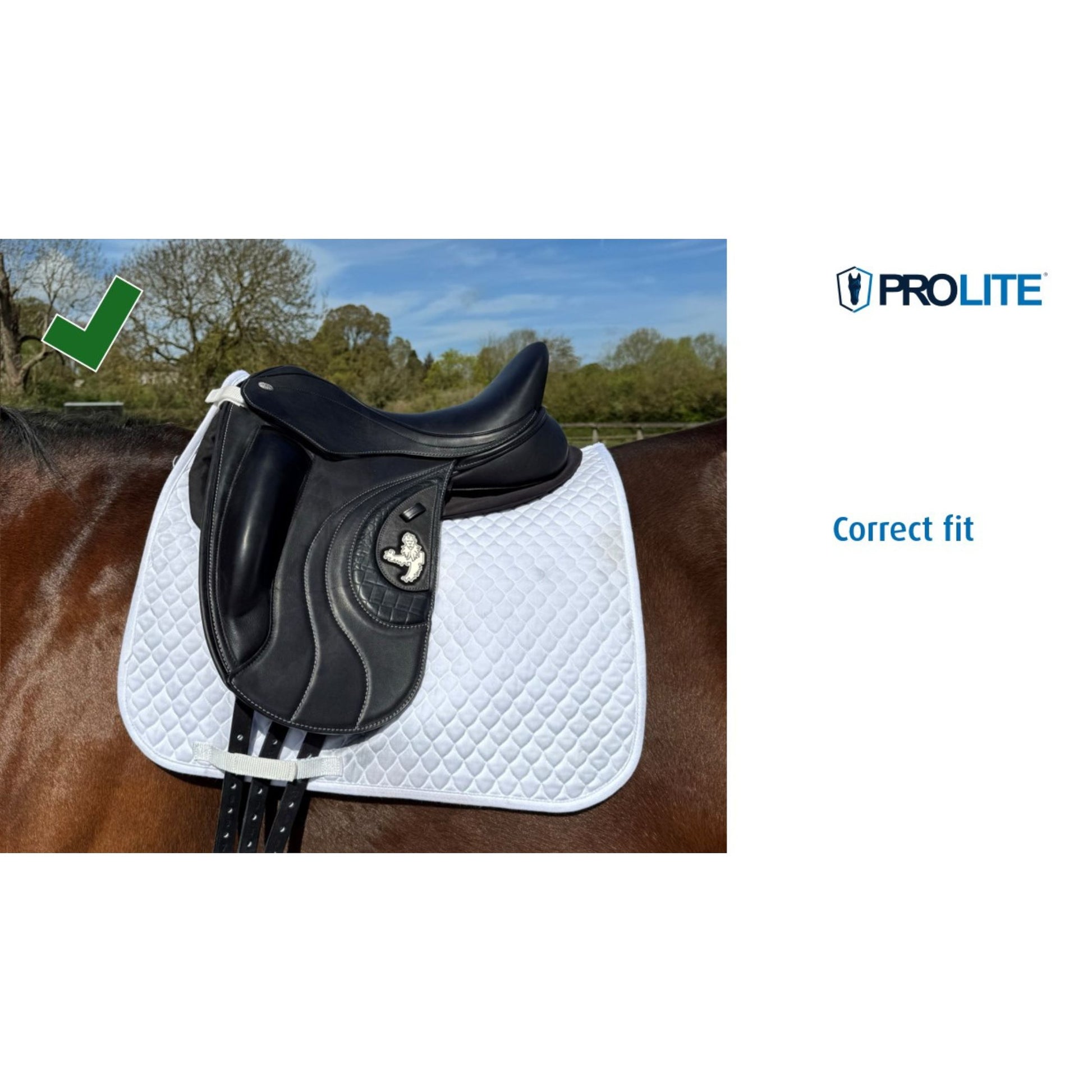 Prolite Multiriser Thin Pad - EQ Saddlery