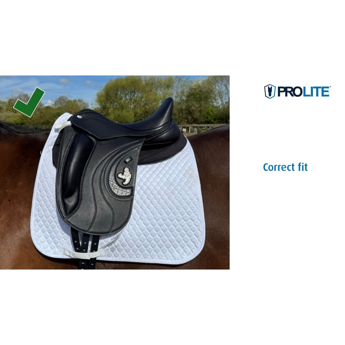 Prolite Multiriser Thin Pad - EQ Saddlery