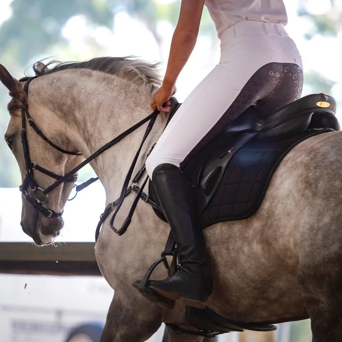QJ Riding Wear Lauren Competition Breeches