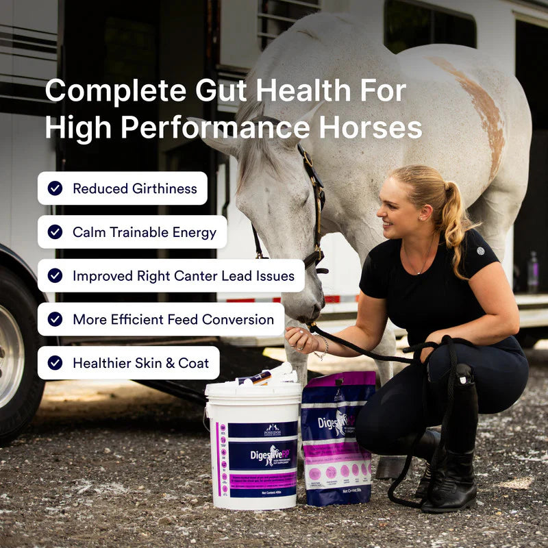 Poseidon Digestive HP Tub - EQ Saddlery