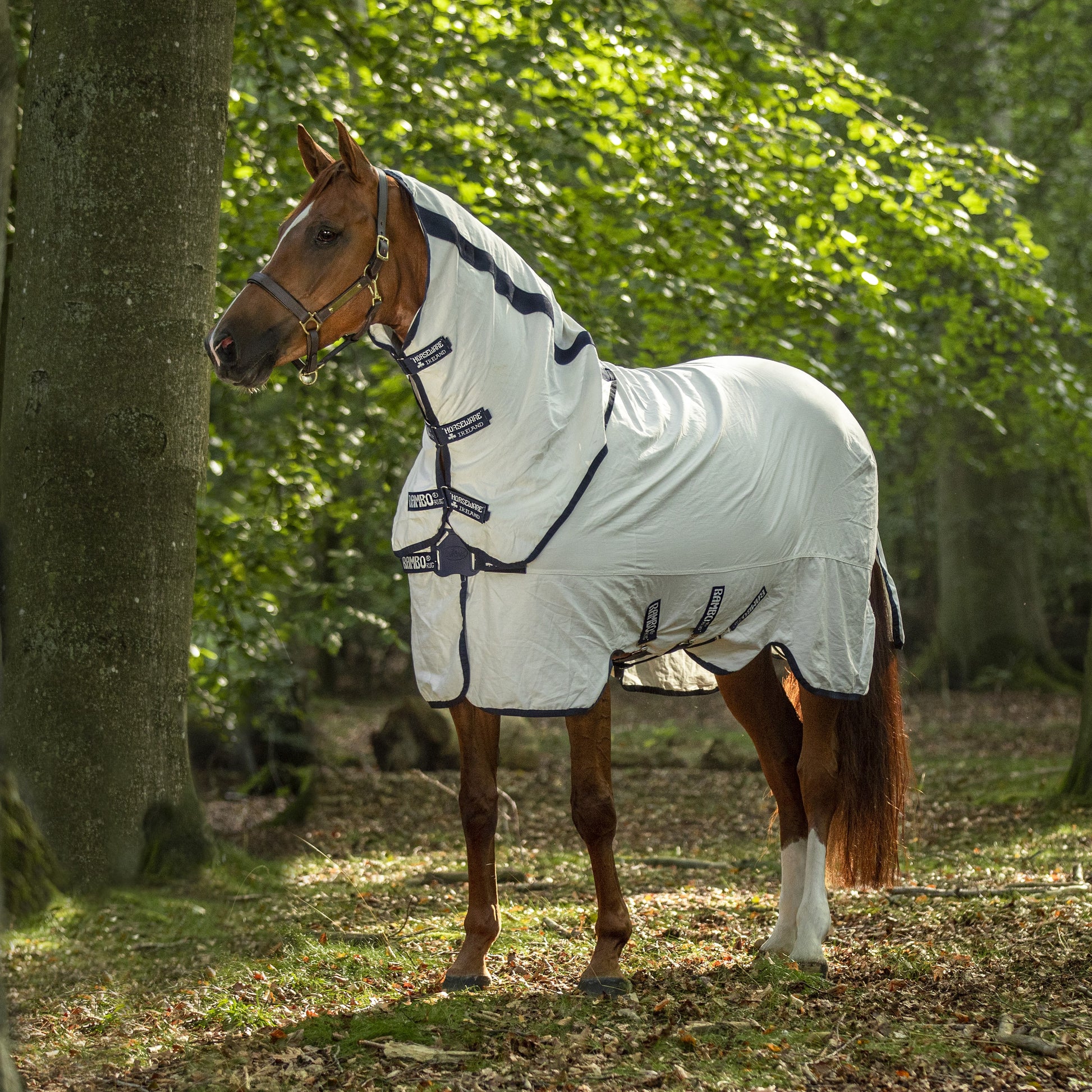 Horseware Rambo Natura Summer Sheet - EQ Saddlery
