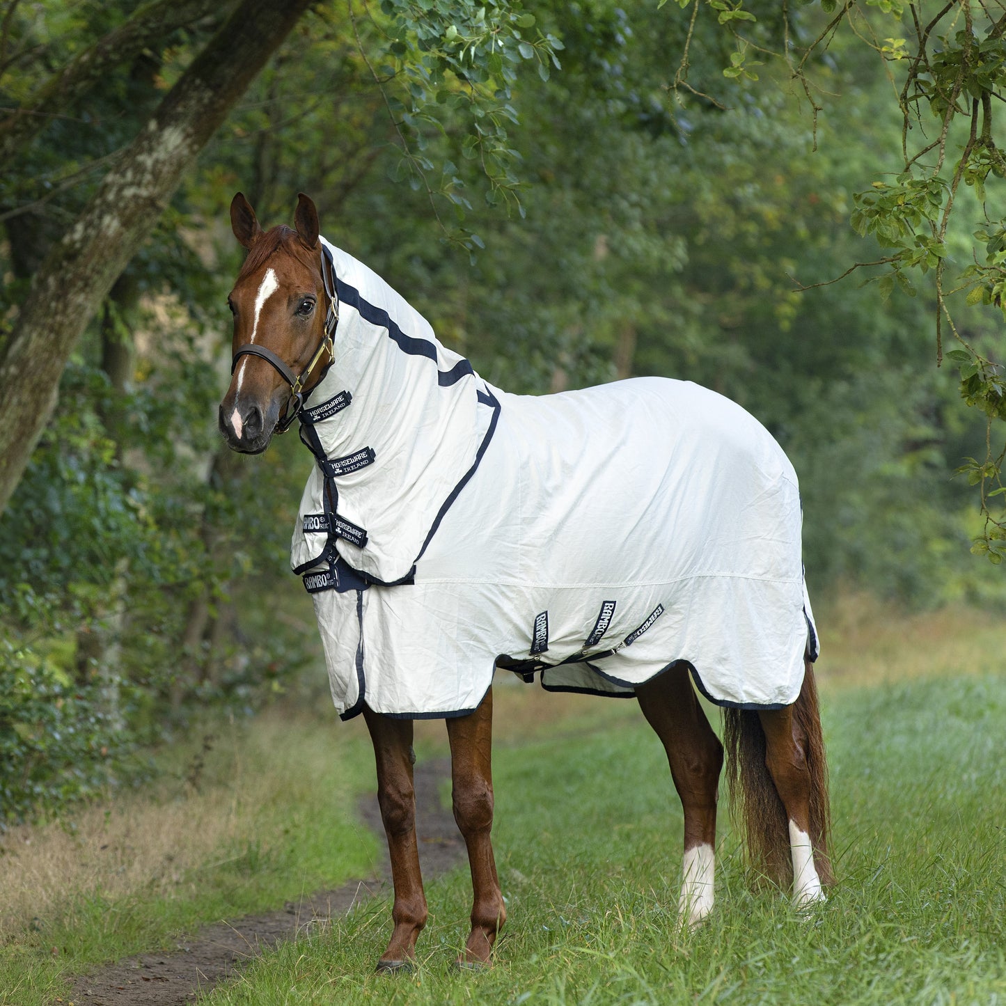 Horseware Rambo Natura Summer Sheet - EQ Saddlery
