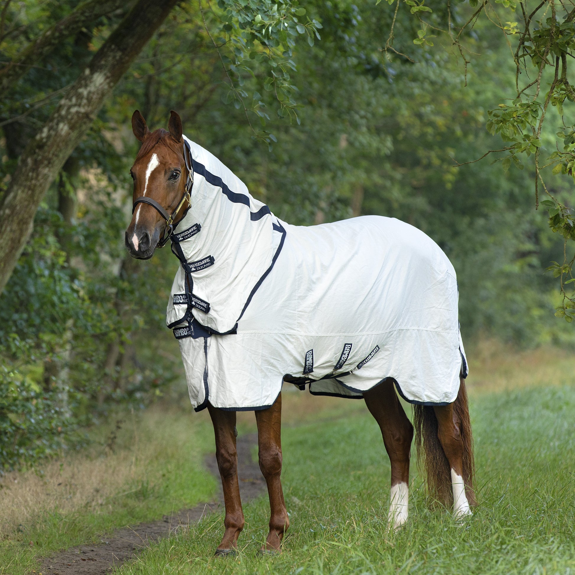 Horseware Rambo Natura Summer Sheet - EQ Saddlery