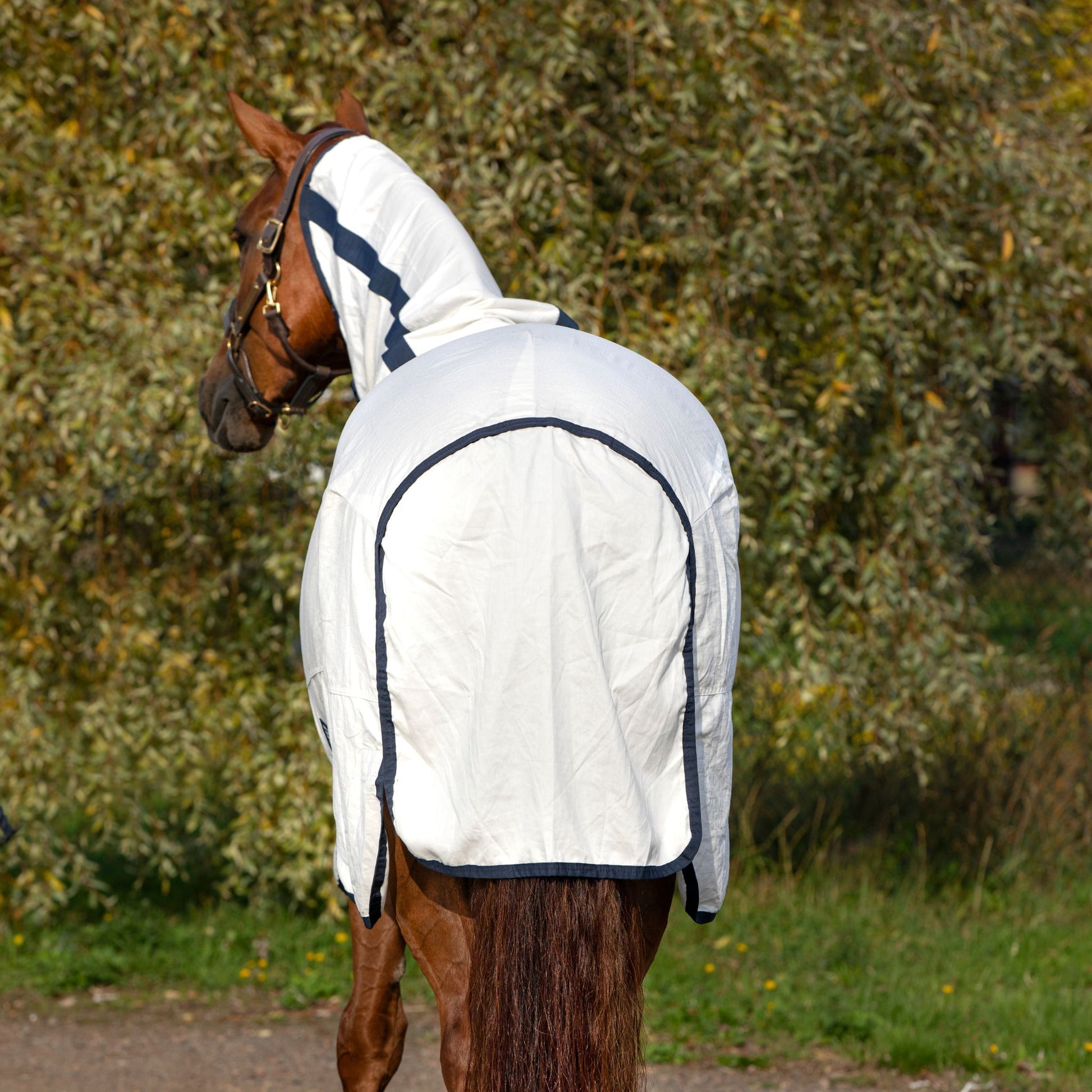 Horseware Rambo Natura Summer Sheet - EQ Saddlery