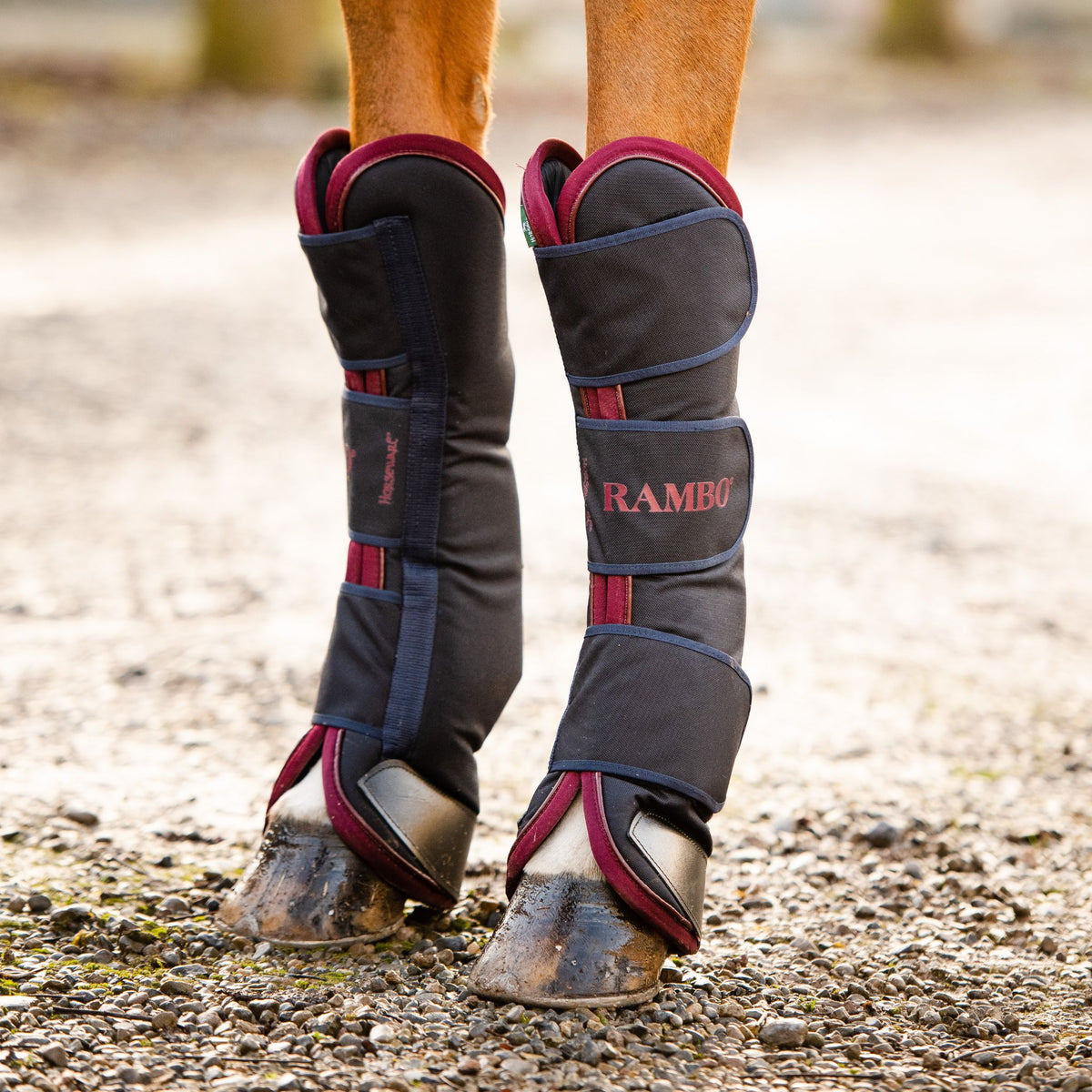 Horseware Rambo Travel Boots EQ Saddlery horseware-rambo-travel-boots-eq-saddlery