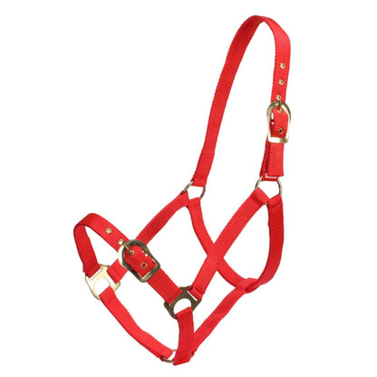 Rancher Halter w Brass Buckles