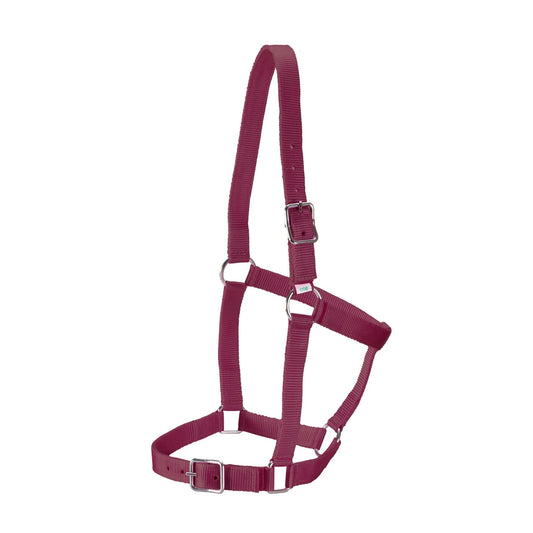 Rancher Stable Halter