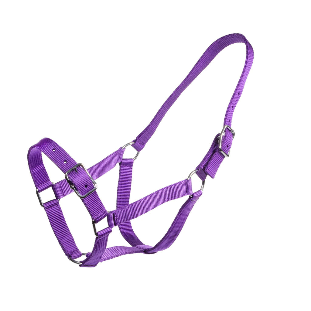 Rancher Stable Halter