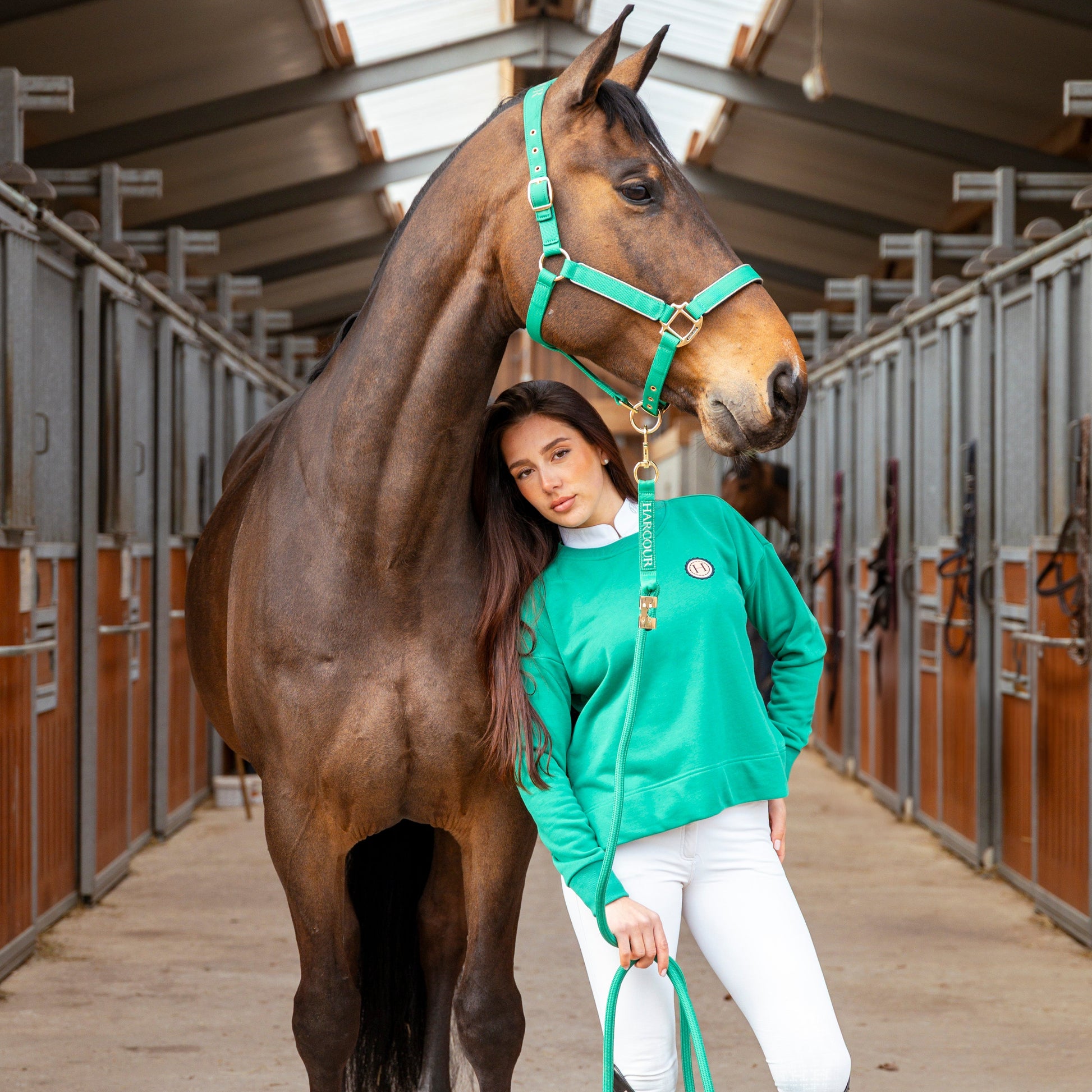 Harcour Hansy Halter Set - EQ Saddlery