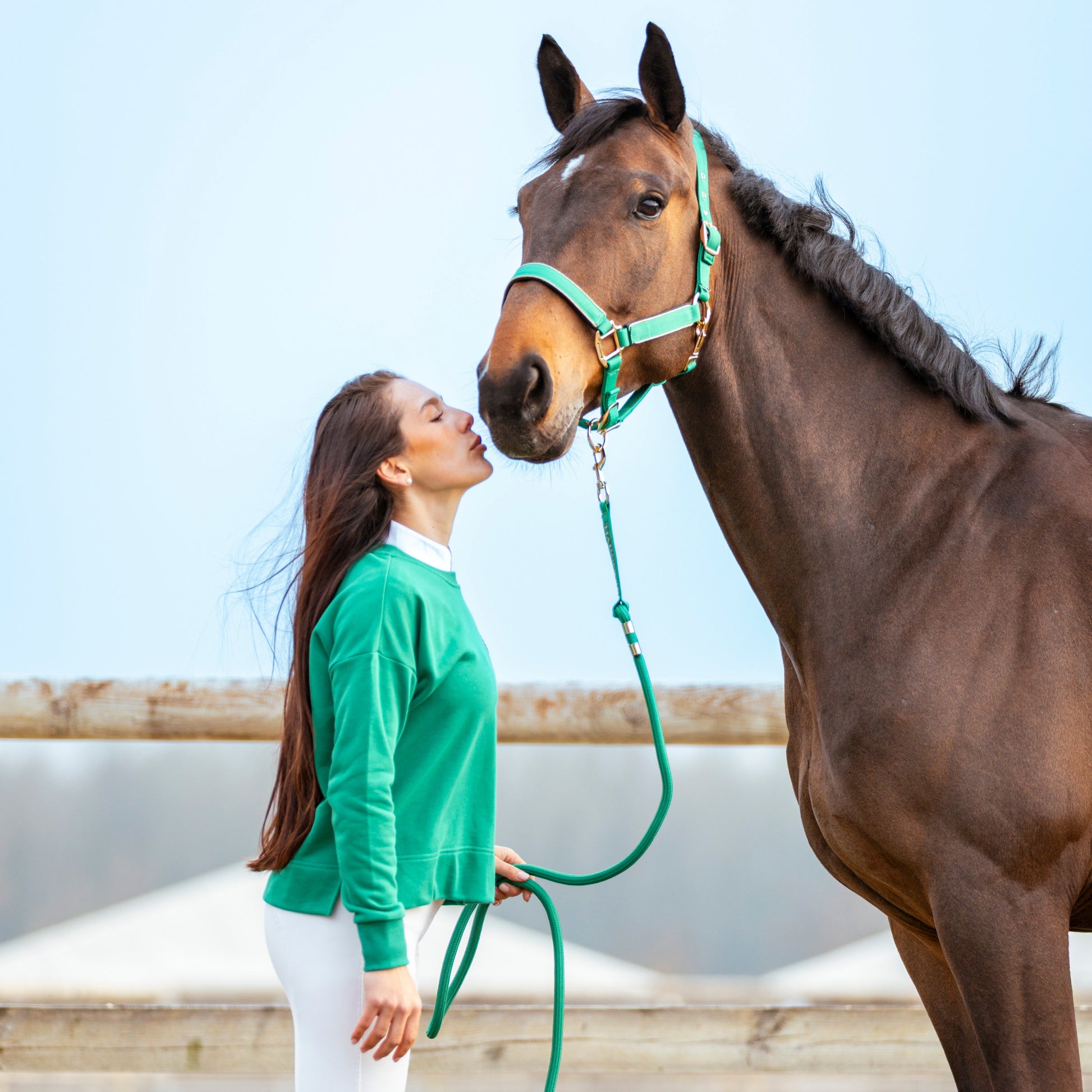 Harcour Hansy Halter Set - EQ Saddlery