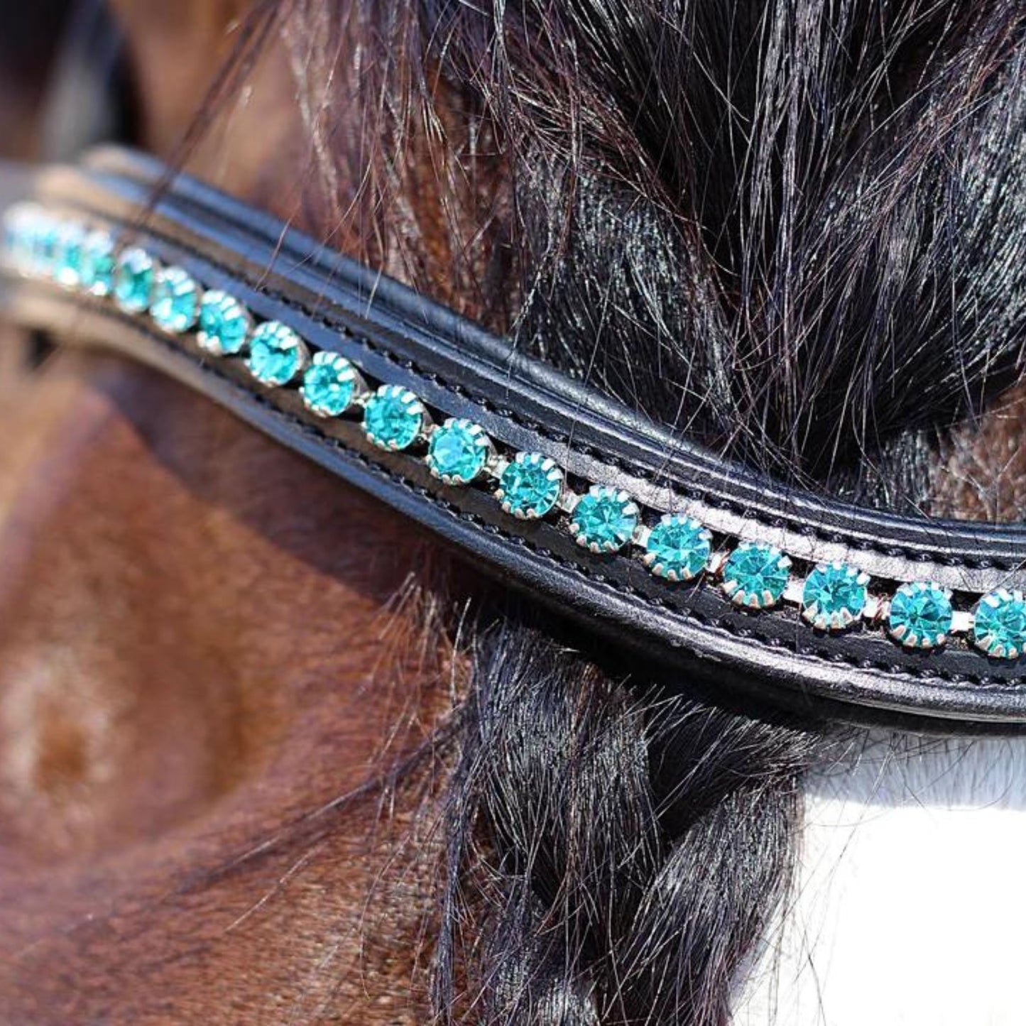 Saddle Co Browband