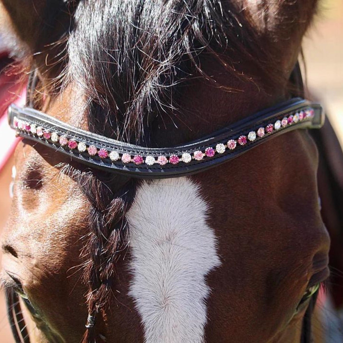 Saddle Co Browband