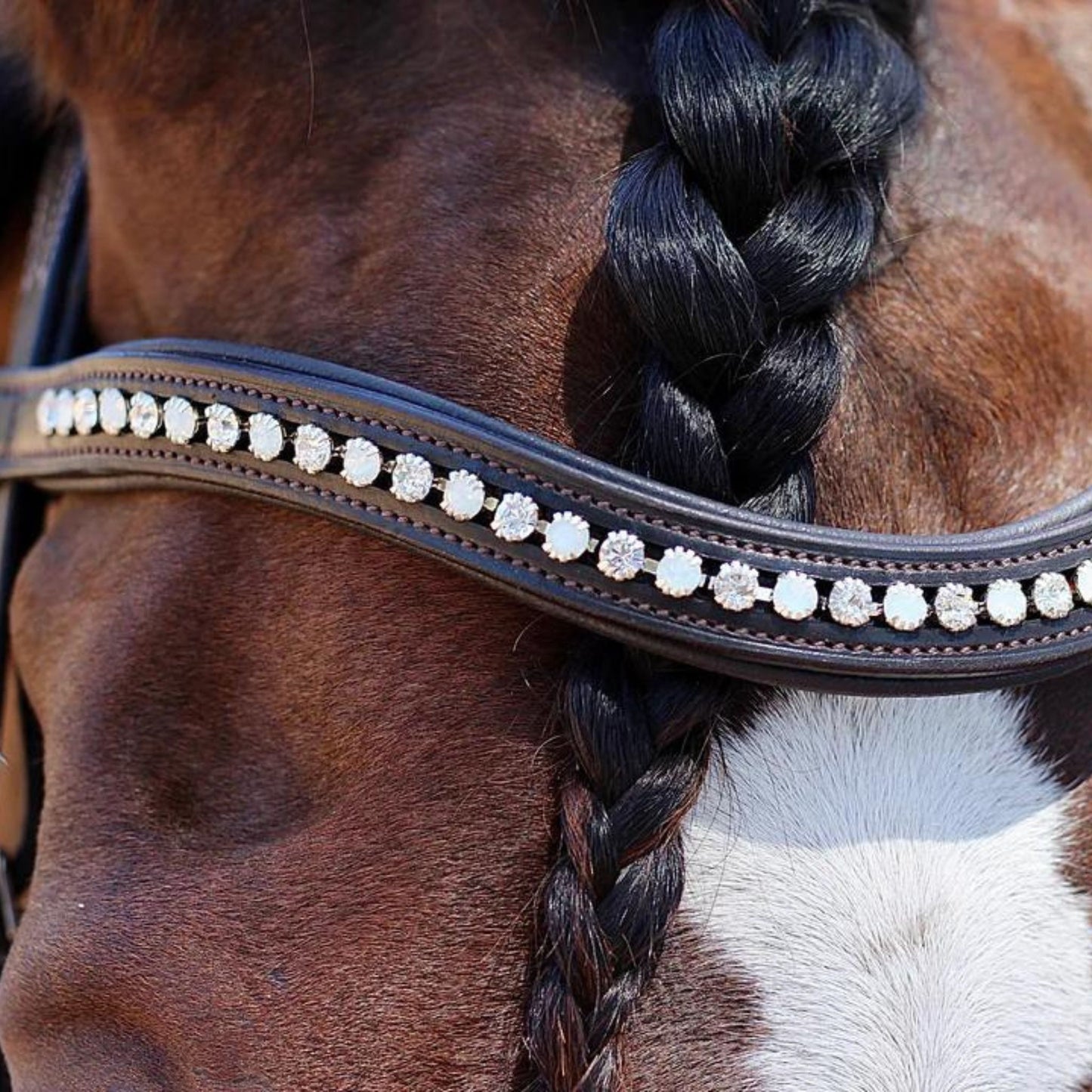 Saddle Co Browband