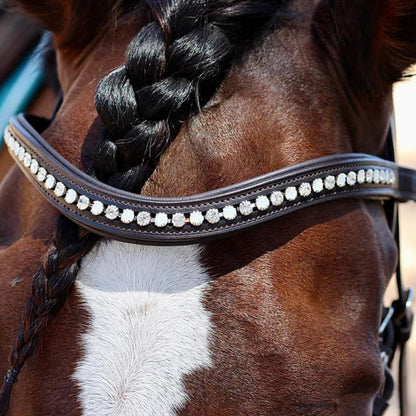 Saddle Co Browband