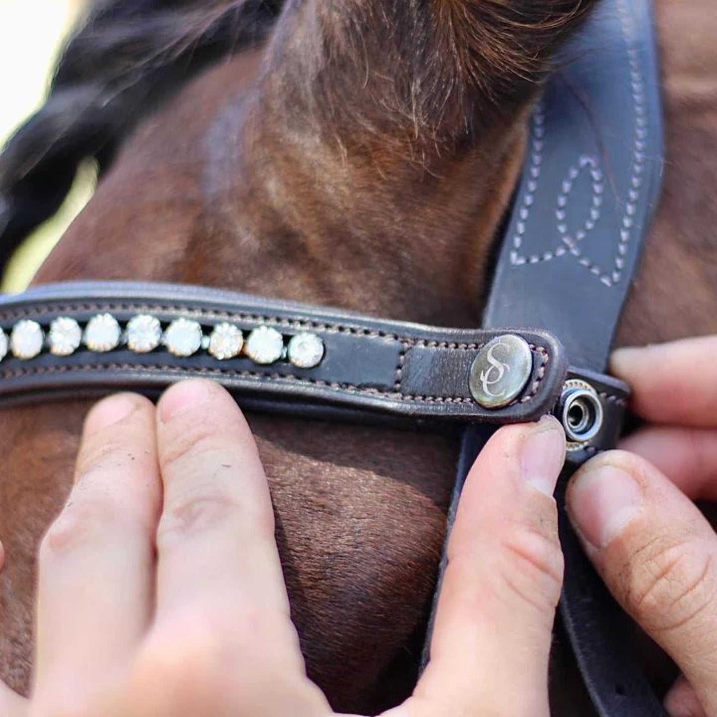 Saddle Co Browband