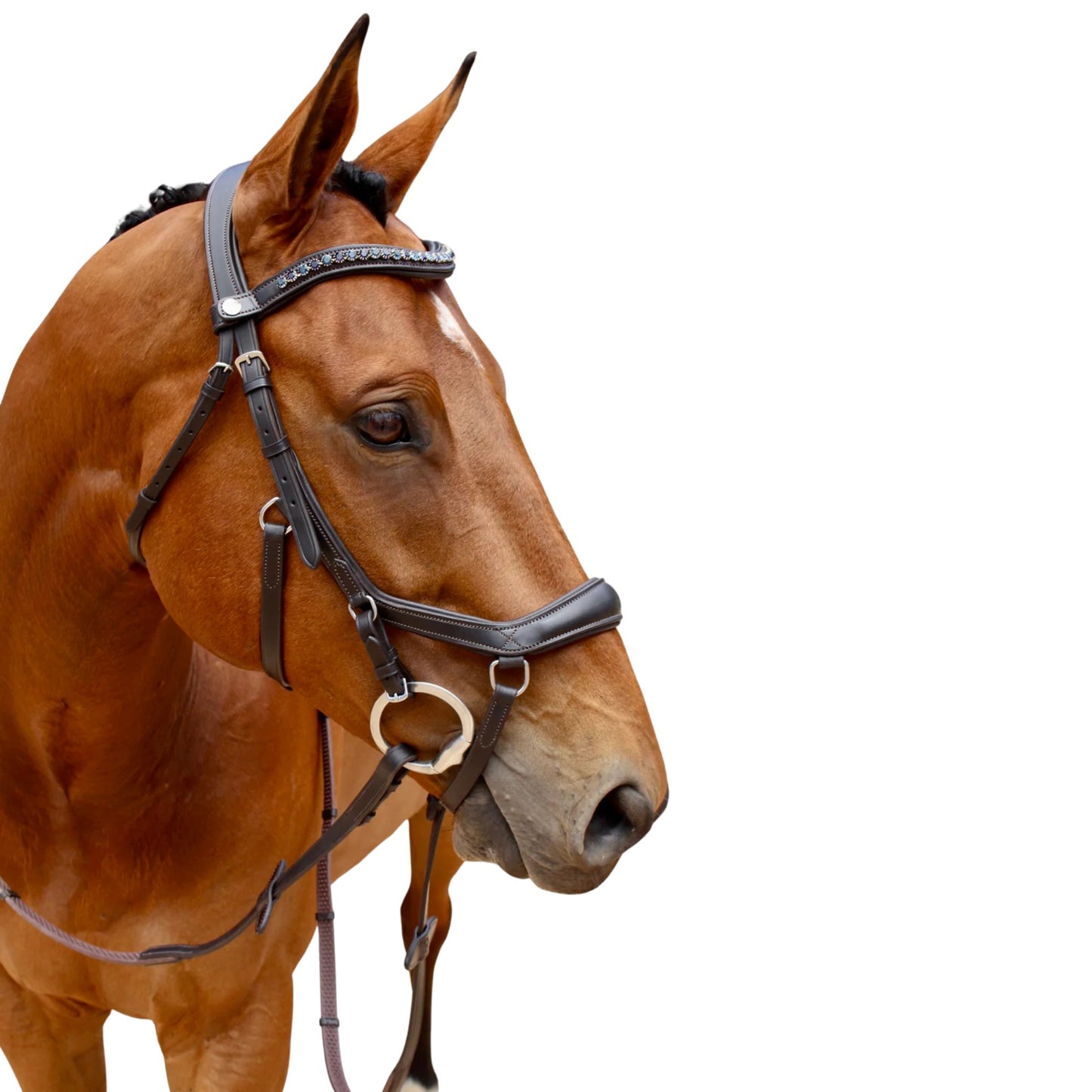 Saddle Co Micklux Anatomic Bridle w Reins