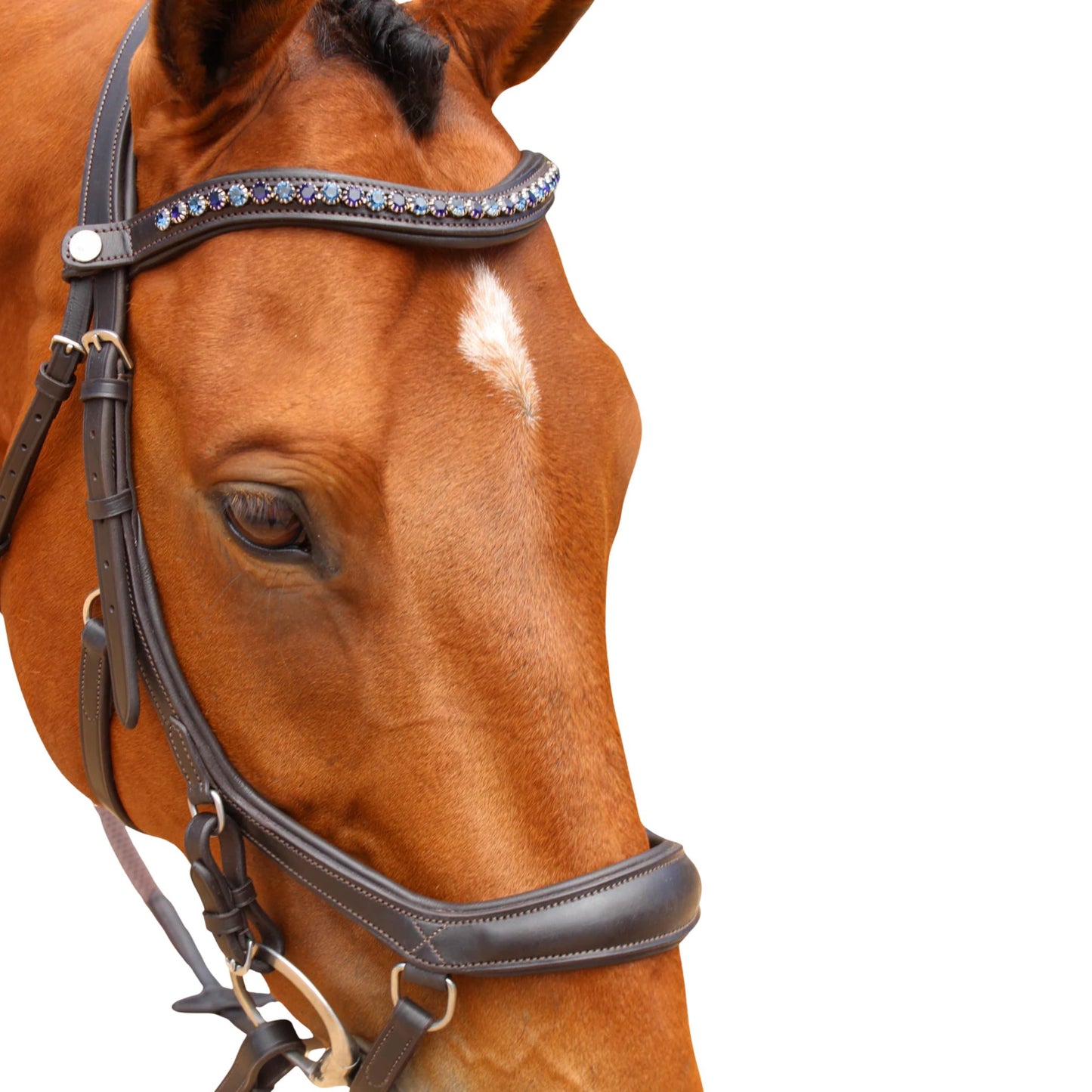 Saddle Co Micklux Anatomic Bridle w Reins