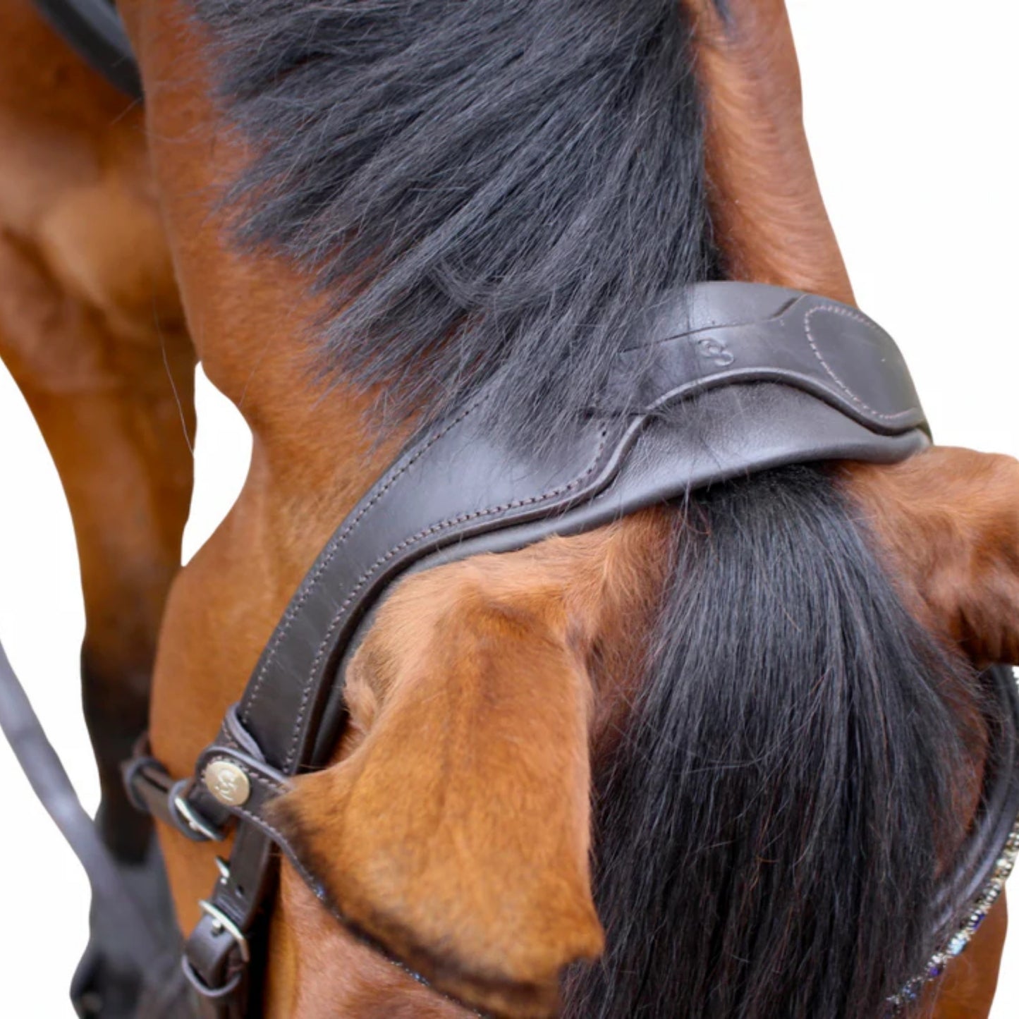 Saddle Co Star Hanoverian Bridle w Reins