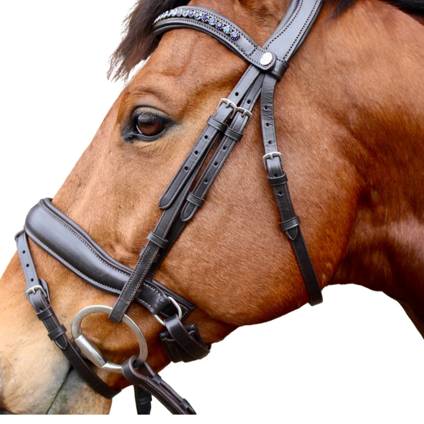 Saddle Co Star Hanoverian Bridle w Reins