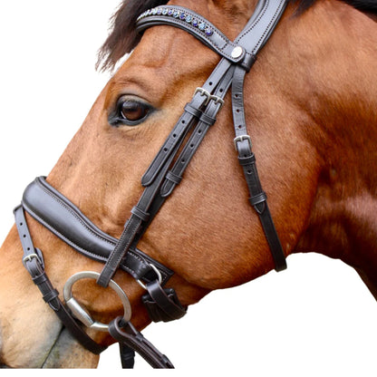 Saddle Co Star Hanoverian Bridle w Reins