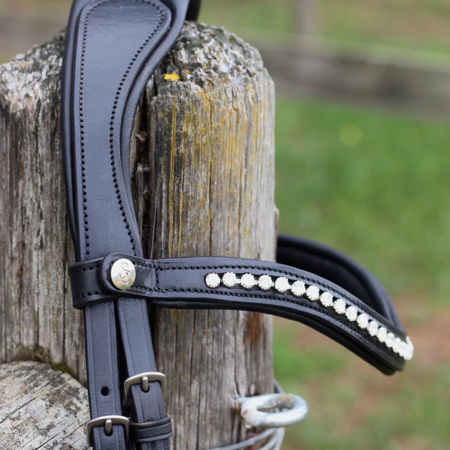 Saddle Co Star Hanoverian Bridle w Reins