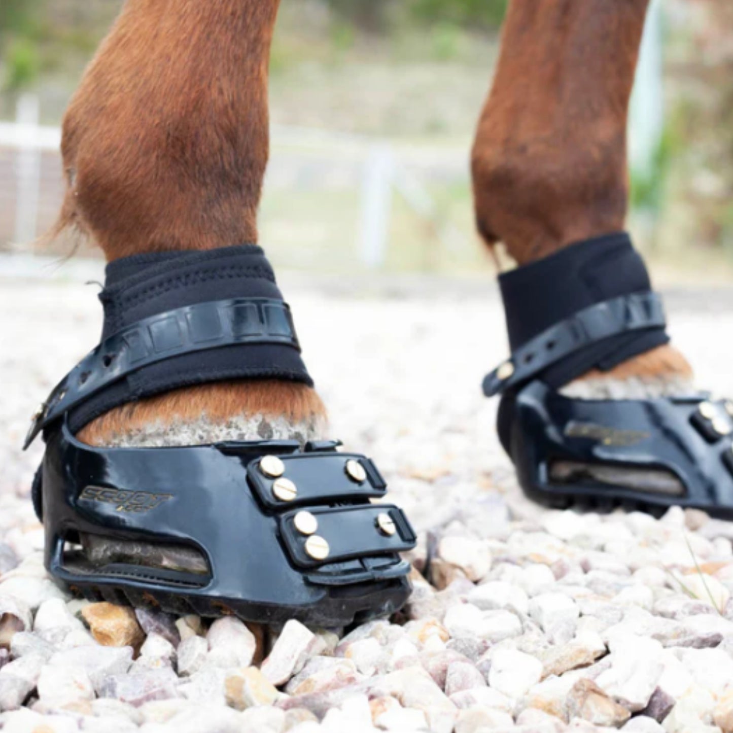 Scoot Boots Front Straps