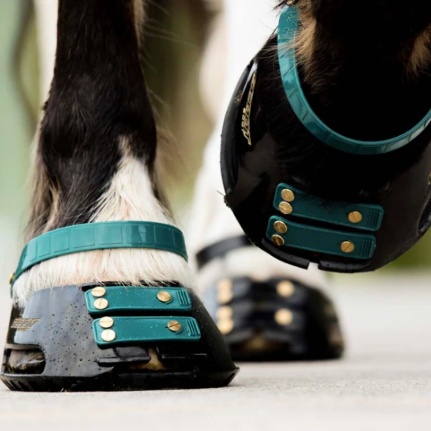 Scoot Boots Front Straps
