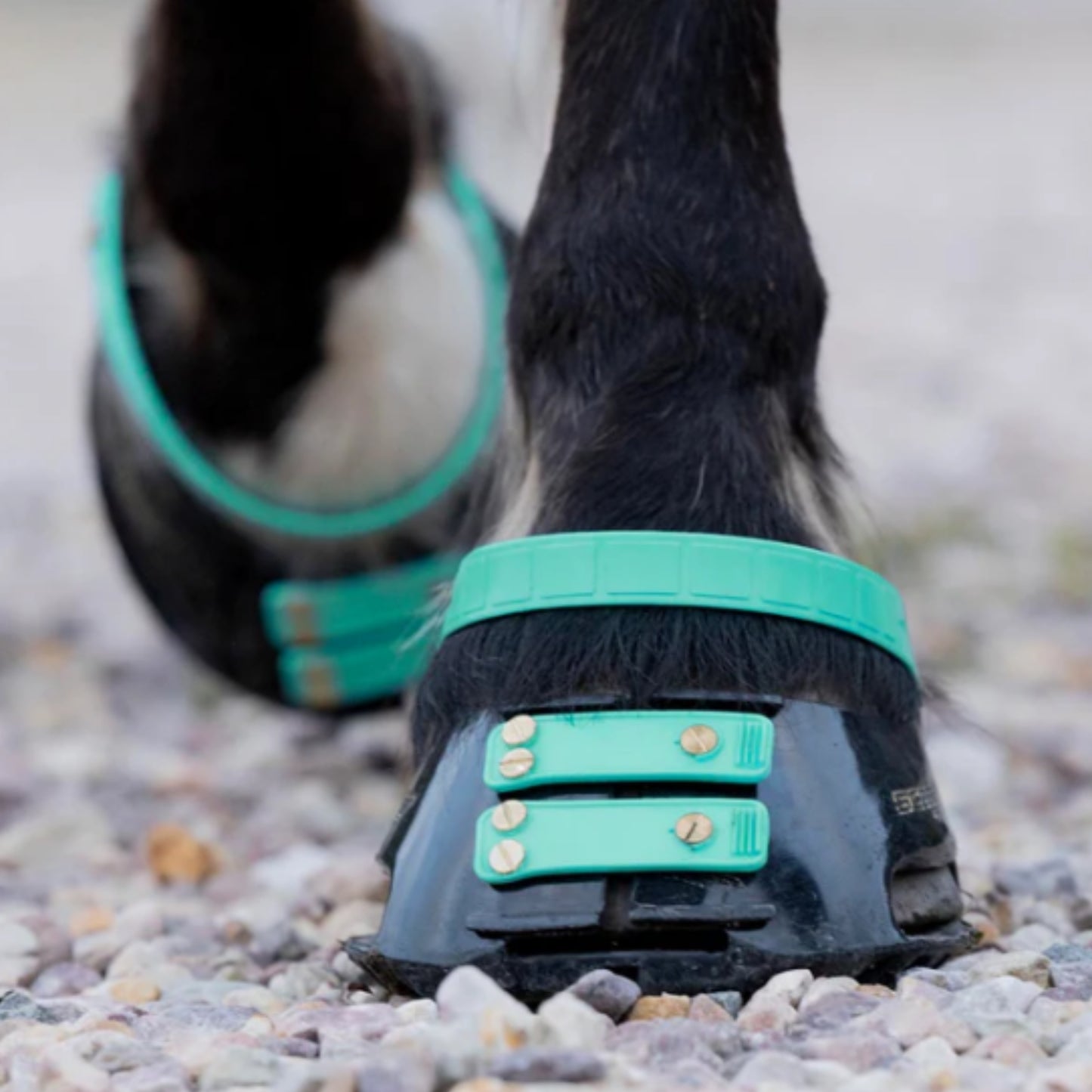 Scoot Boots Front Straps