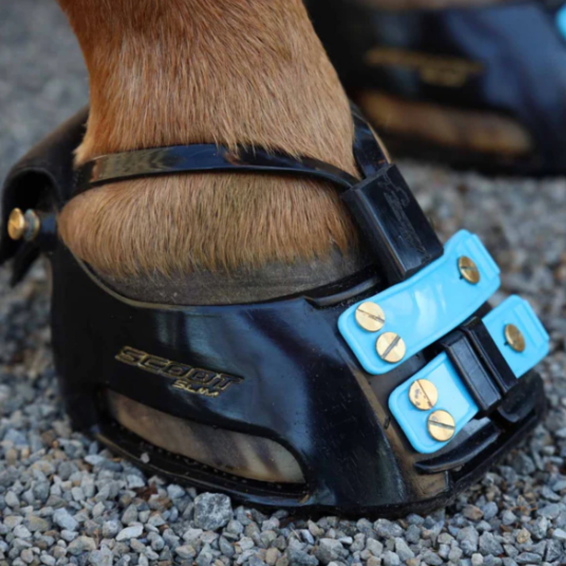 Scoot Boots Mud Straps - EQ Saddlery