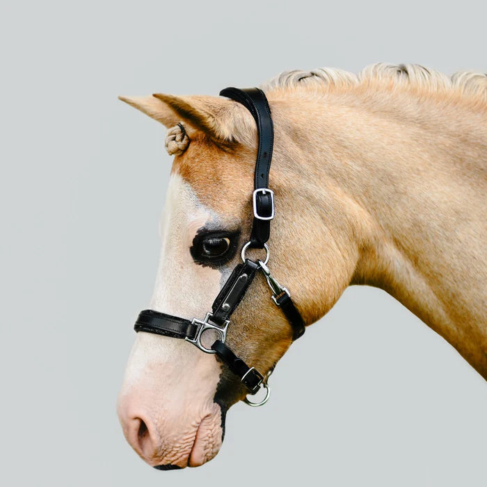 Lumi Pony Vegas Glitter Leather Halter - EQ Saddlery