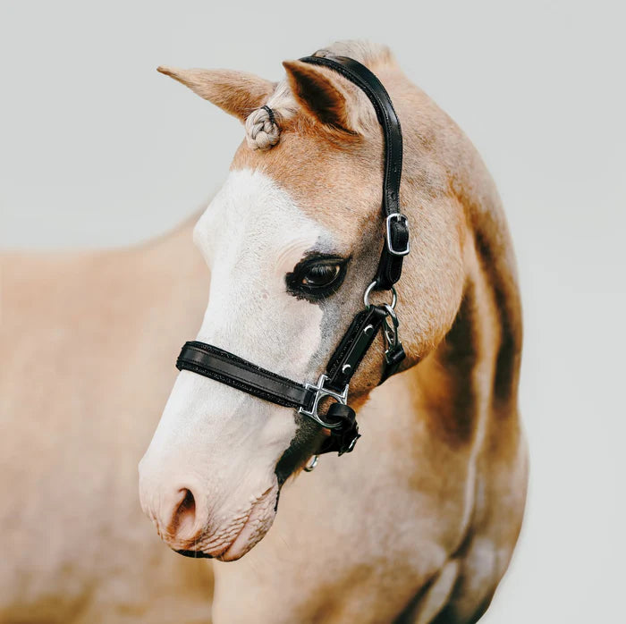 Lumi Pony Vegas Glitter Leather Halter - EQ Saddlery
