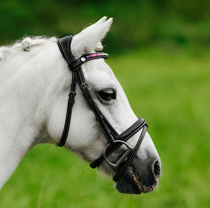 Lumi Pony Rainbow Bridle - EQ Saddlery