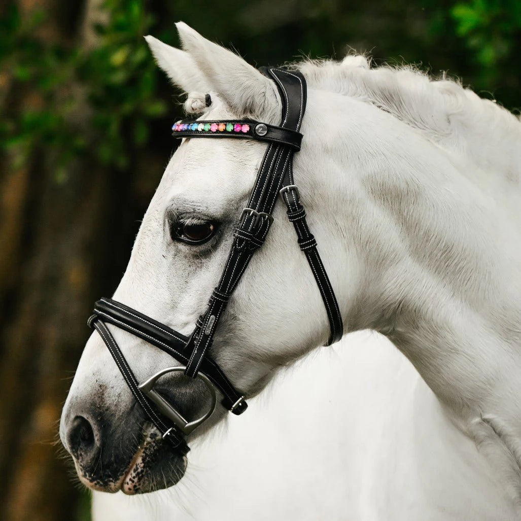 Lumi Pony Rainbow Bridle - EQ Saddlery