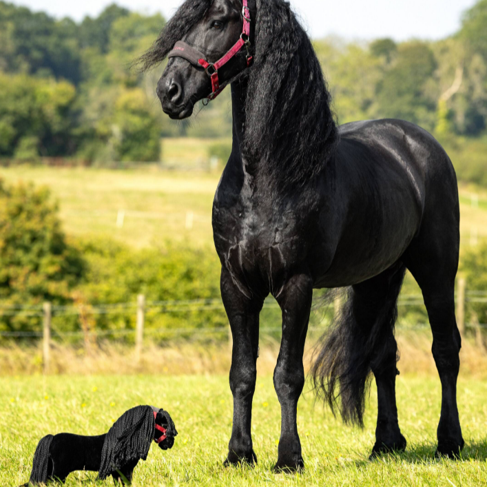 LeMieux Toy Pony Spike