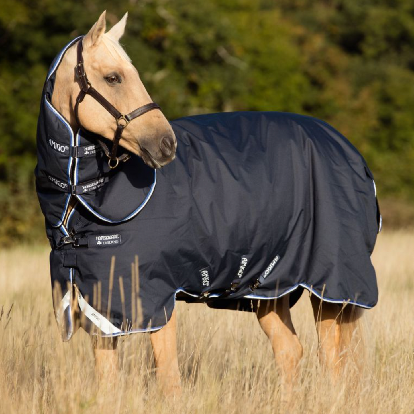 Horseware Amigo Bravo 12 Plus 0g Rug