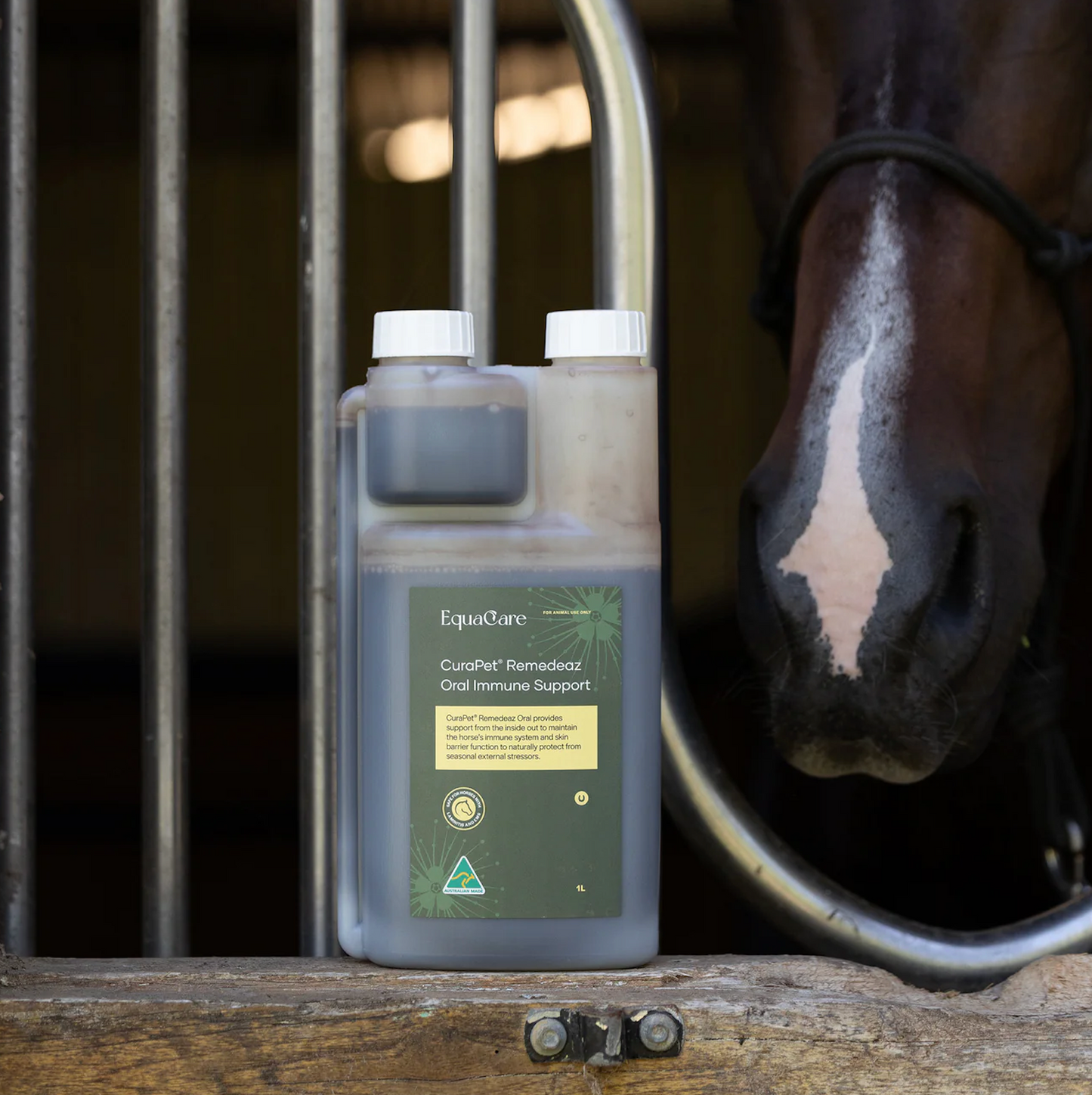 CuraPet Remedeaz Oral Immune Support - EQ Saddlery
