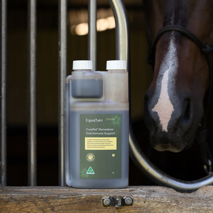 CuraPet Remedeaz Oral Immune Support - EQ Saddlery