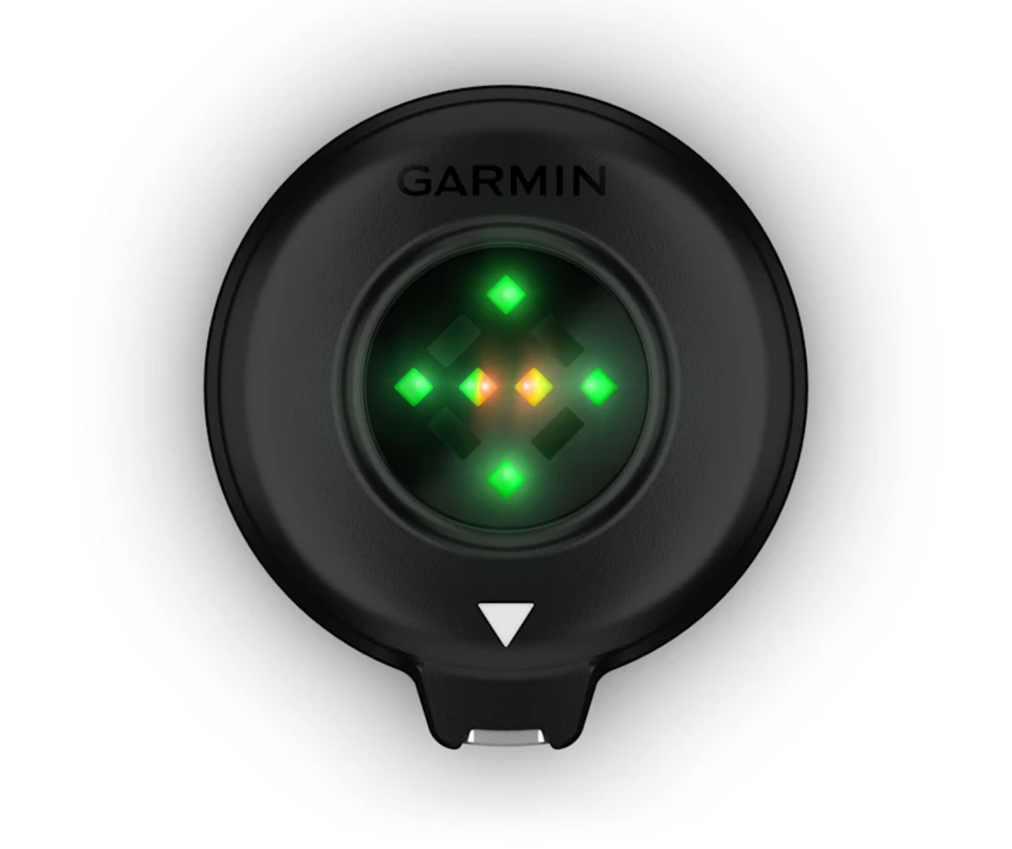 Garmin Blaze Equine Wellness System
